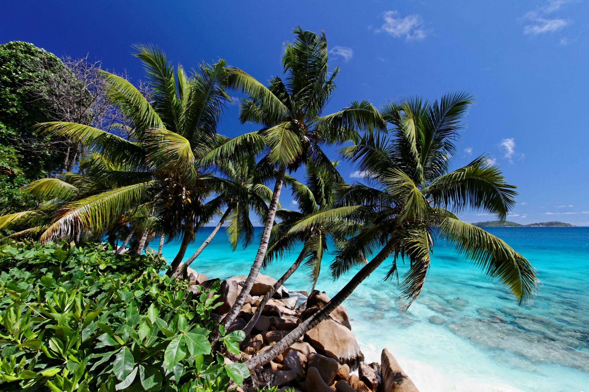 Zanzibar Island