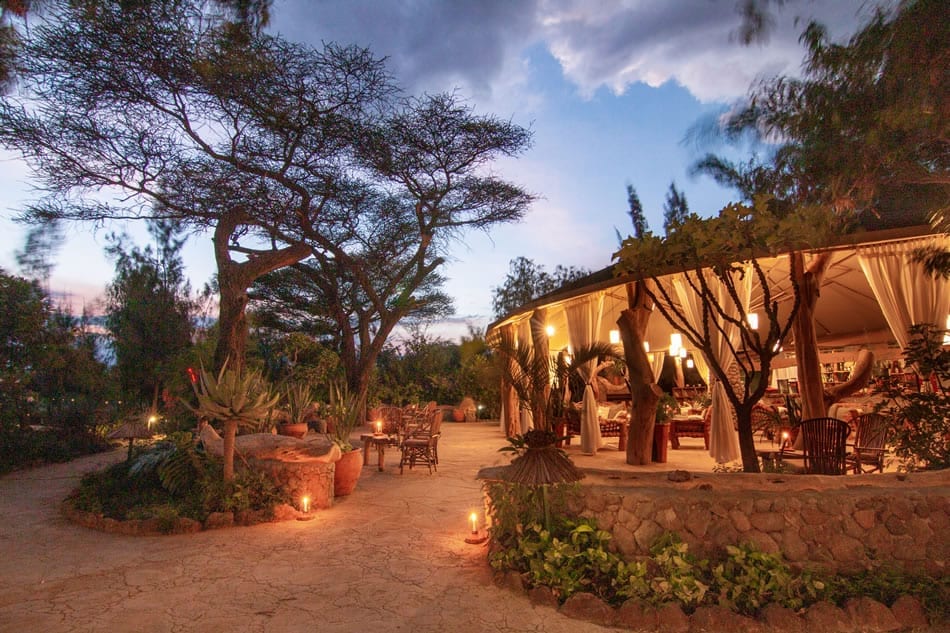 Safari Experiences